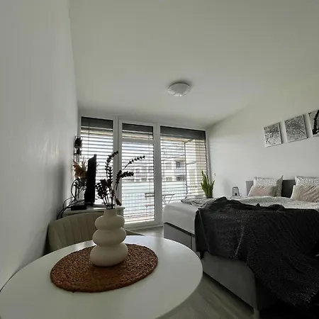 Apartment Santovka